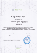 Сертификат дилера от компании Коло Веси